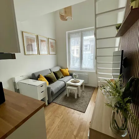 Apartment Duplex Cosy Hyper Centre *